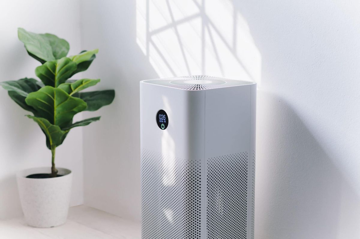 Enhance Family Wellbeing with These Top Household Upgrades for a Healthier Home