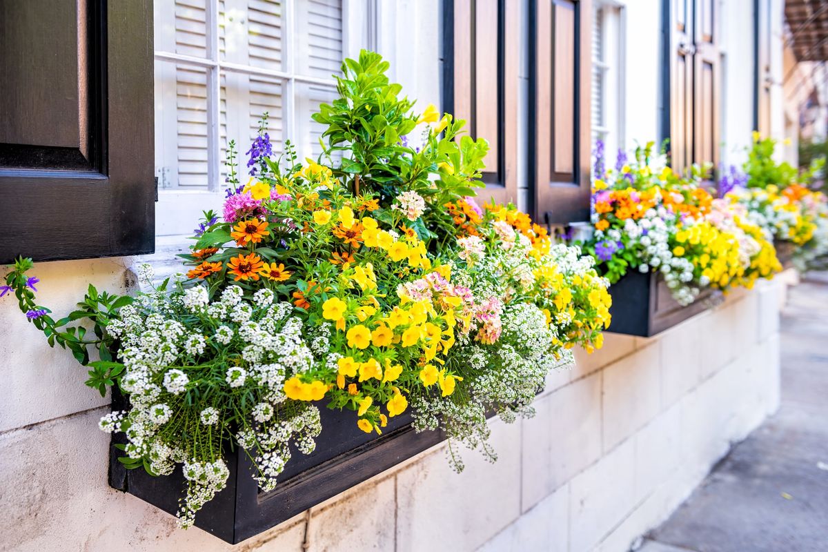 Coordinating Window Upgrades With Your Home's Style