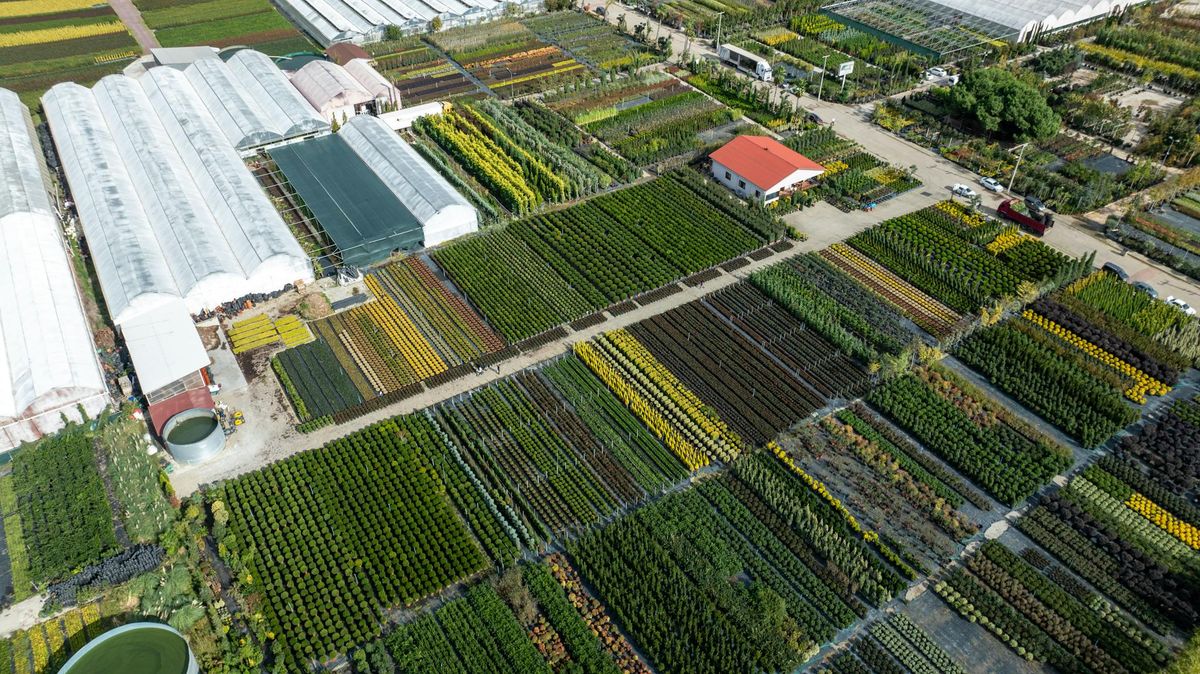 Why Commercial Greenhouses Are Smart Business Investments