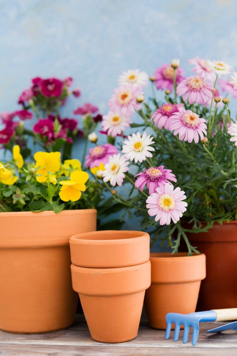How to Choose the Right Plant for the Right Place in Your Landscape