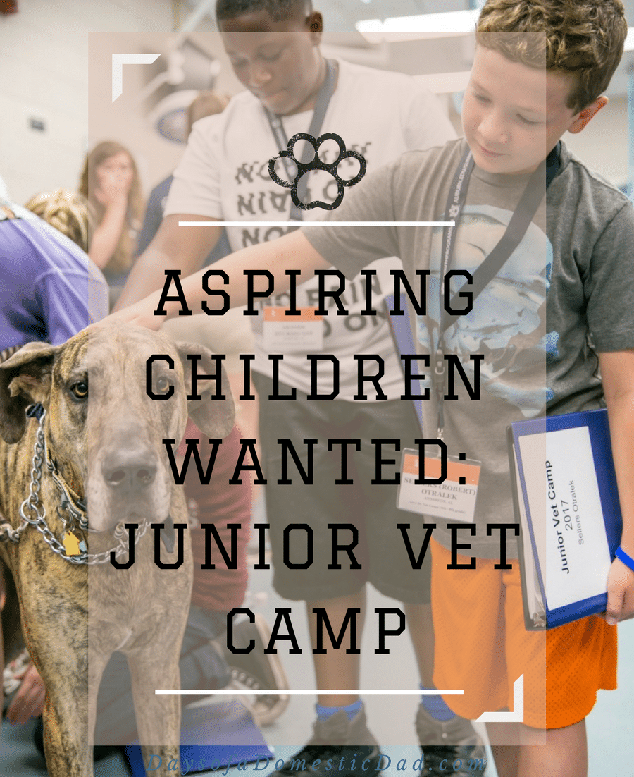 Aspiring Children Wanted: Junior Vet Camp