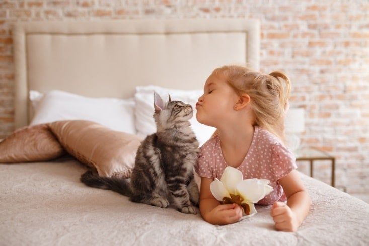 Pet Parents Guide For Living With Pets In Big US States