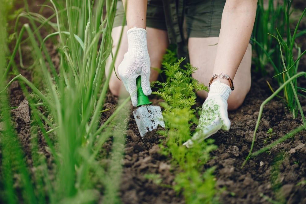 Environment Friendly Ways To Improve Your Backyard