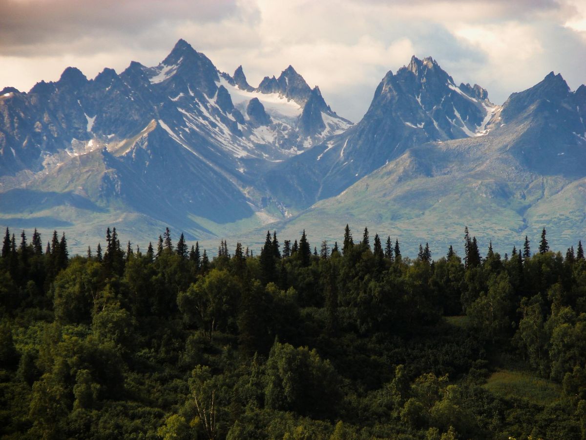 Unforgettable Family Adventures: Discover Alaska's Wild Wonders