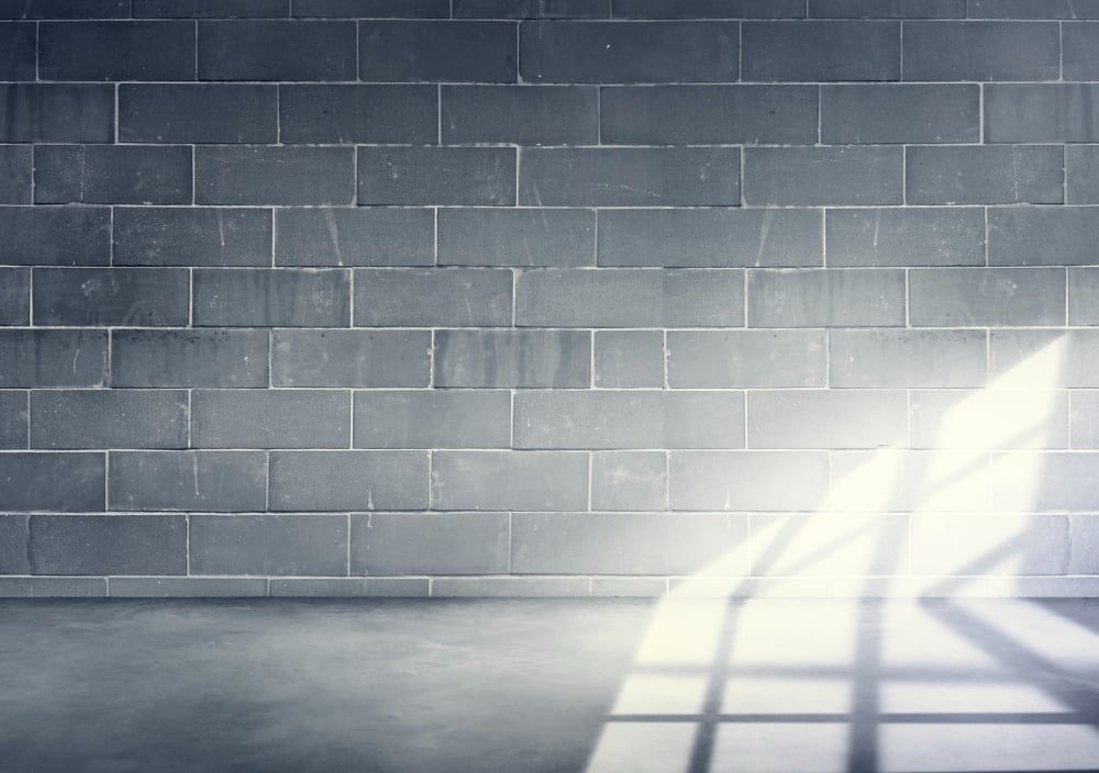 A Beginner’s Guide to Hiring Professional Damp Surveyors