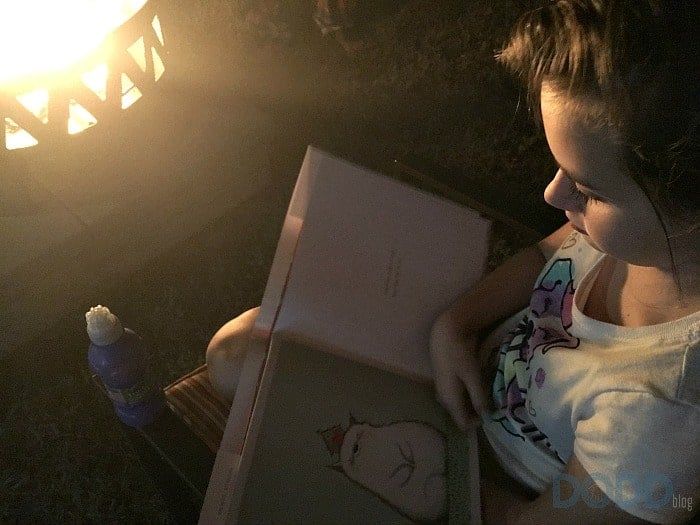 How to Help Overcome Illiteracy Through the Literacy Project