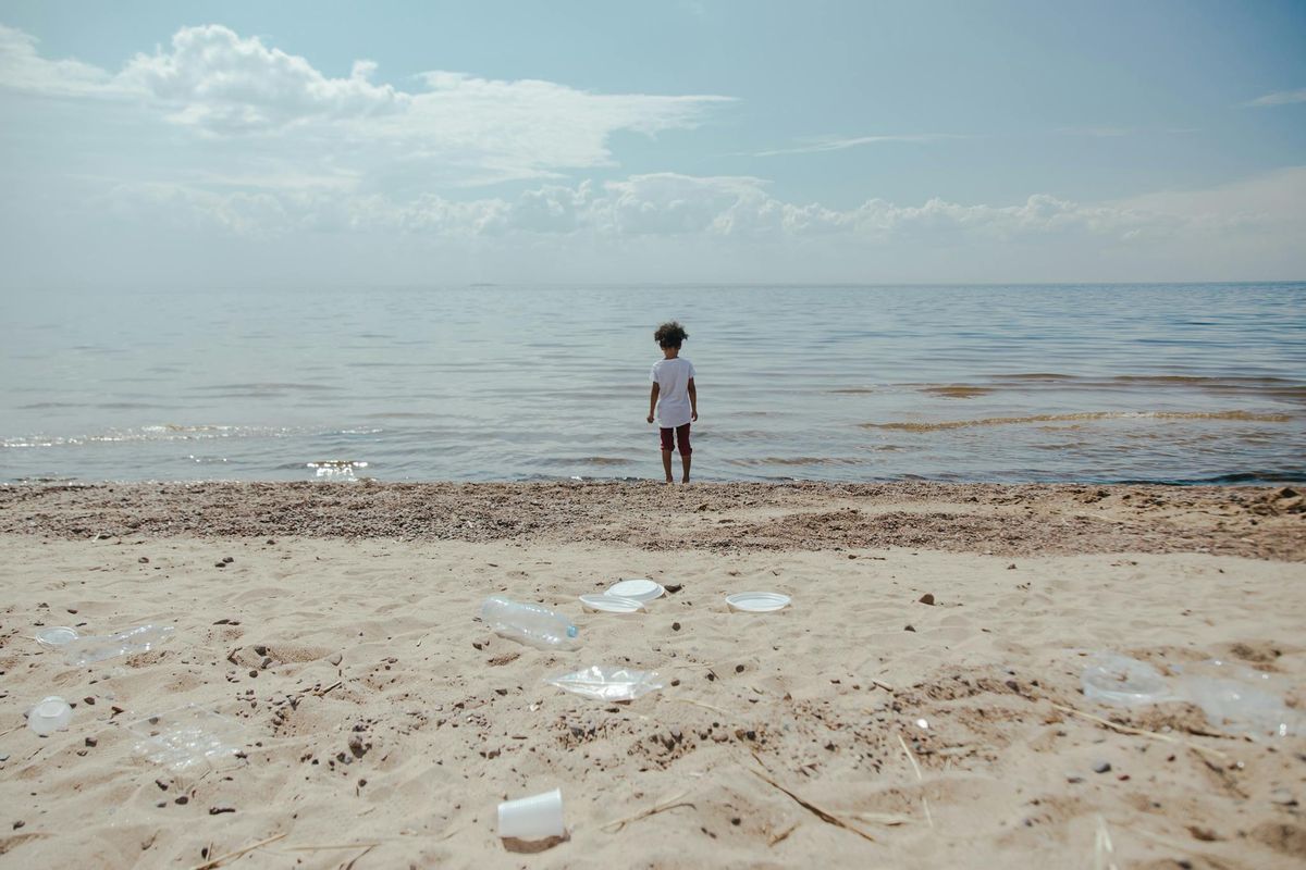 The Impact Of Water Pollution On Ecosystems