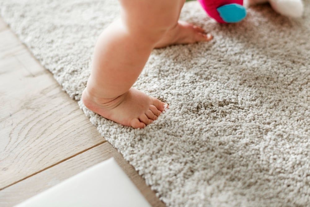 Rugs & Carpets Cleaning Tips: How to Keep Excellent Hygiene at Home