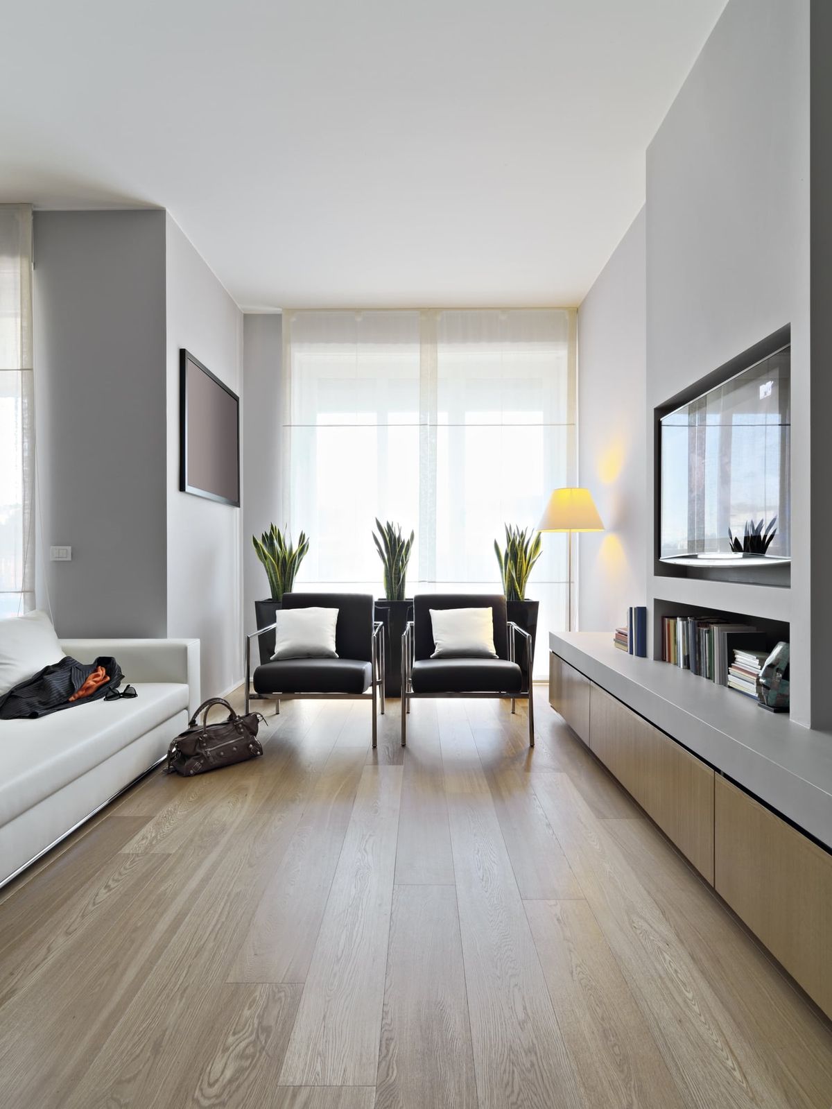 Vacuum Myths Debunked: What You Really Need to Know