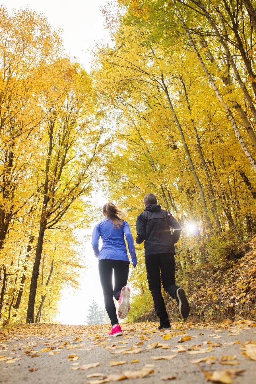 How To Maintain Good Health