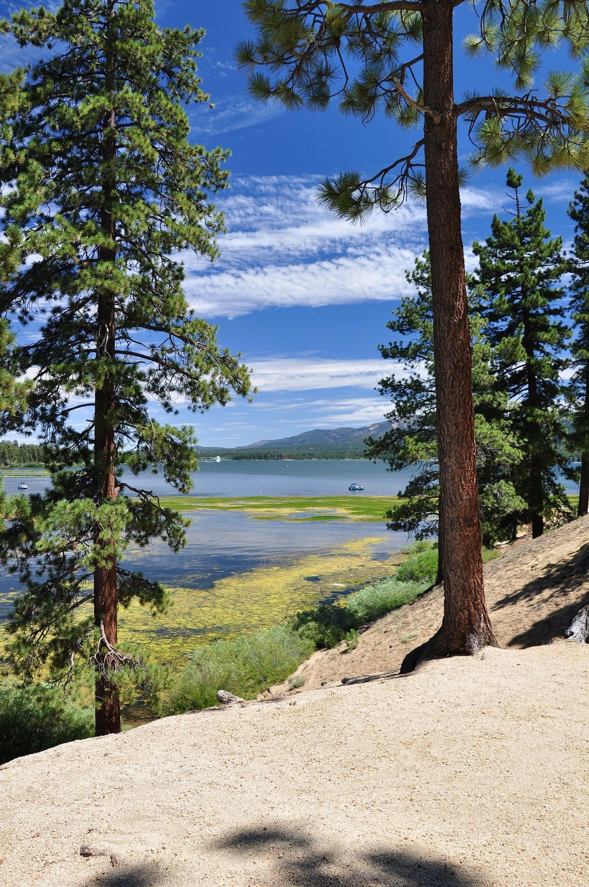 Top 8 Questions to Ask Before Renting a Cabin in Big Bear Lake