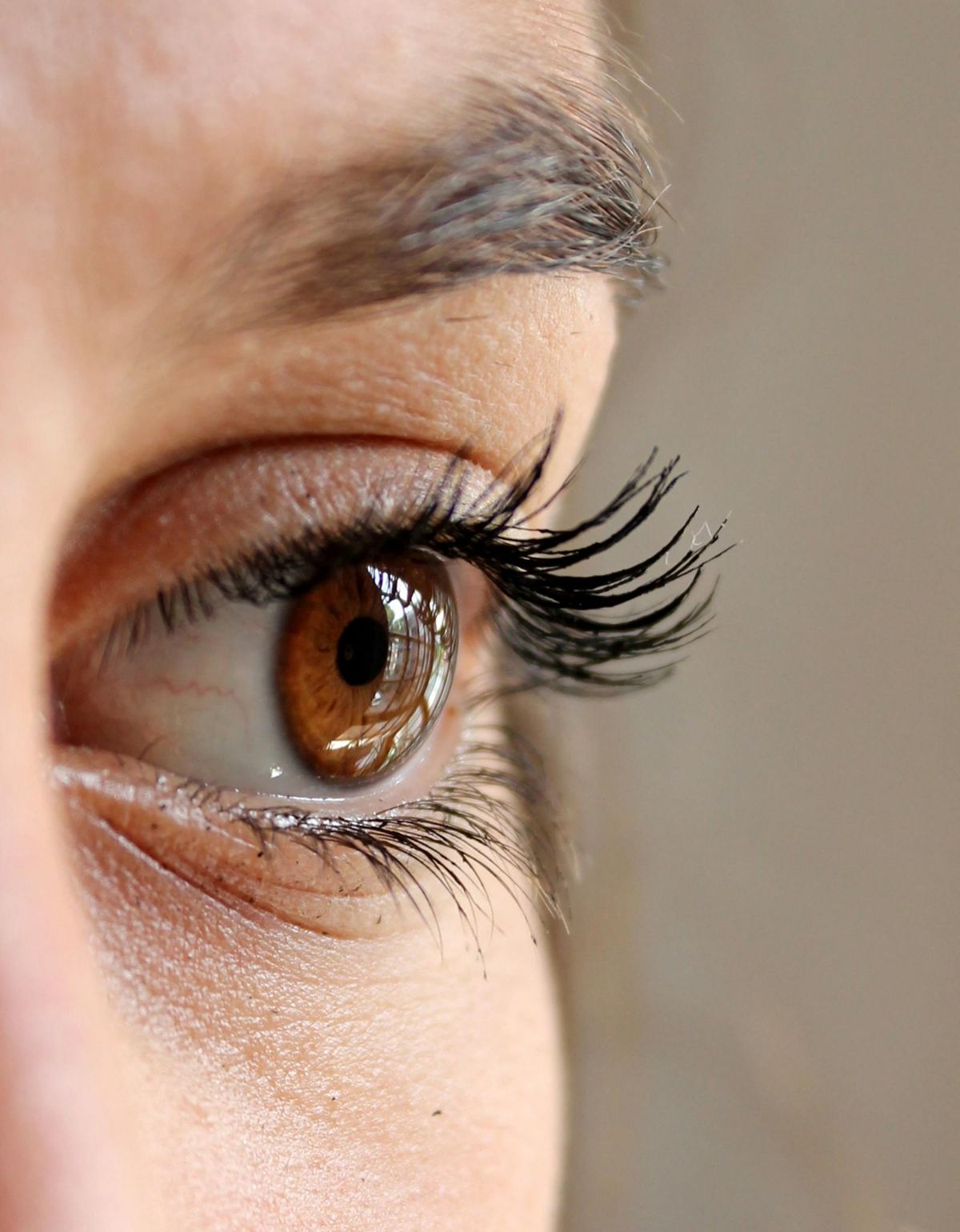 Top 5 Eye Conditions Detected Early Through Bulk Billed Eye Exams
