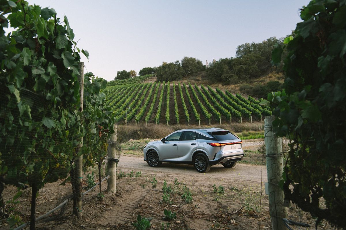 Car Buying 101: A Step-by-Step Guide to Finding Your Perfect Ride