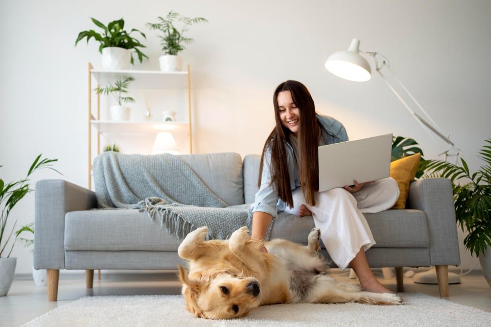 6 Dog Care Tips For Busy Owners