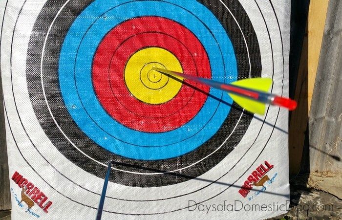 10 Reasons to Get Your Own Genesis Build A Bow