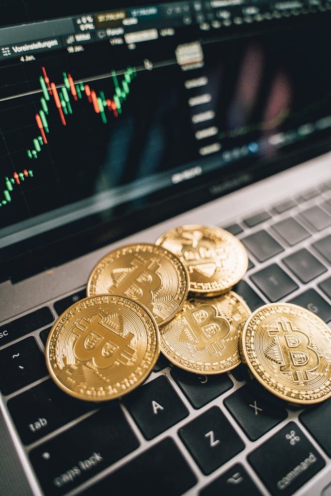 Importance of Supply and Demand in Bitcoin's Exchange Rate Dynamics