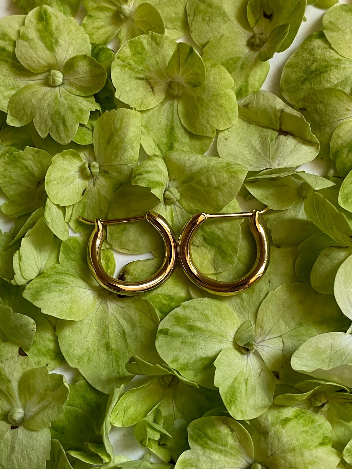 Delicate Threader Hoop Earrings: A Timeless Accessory