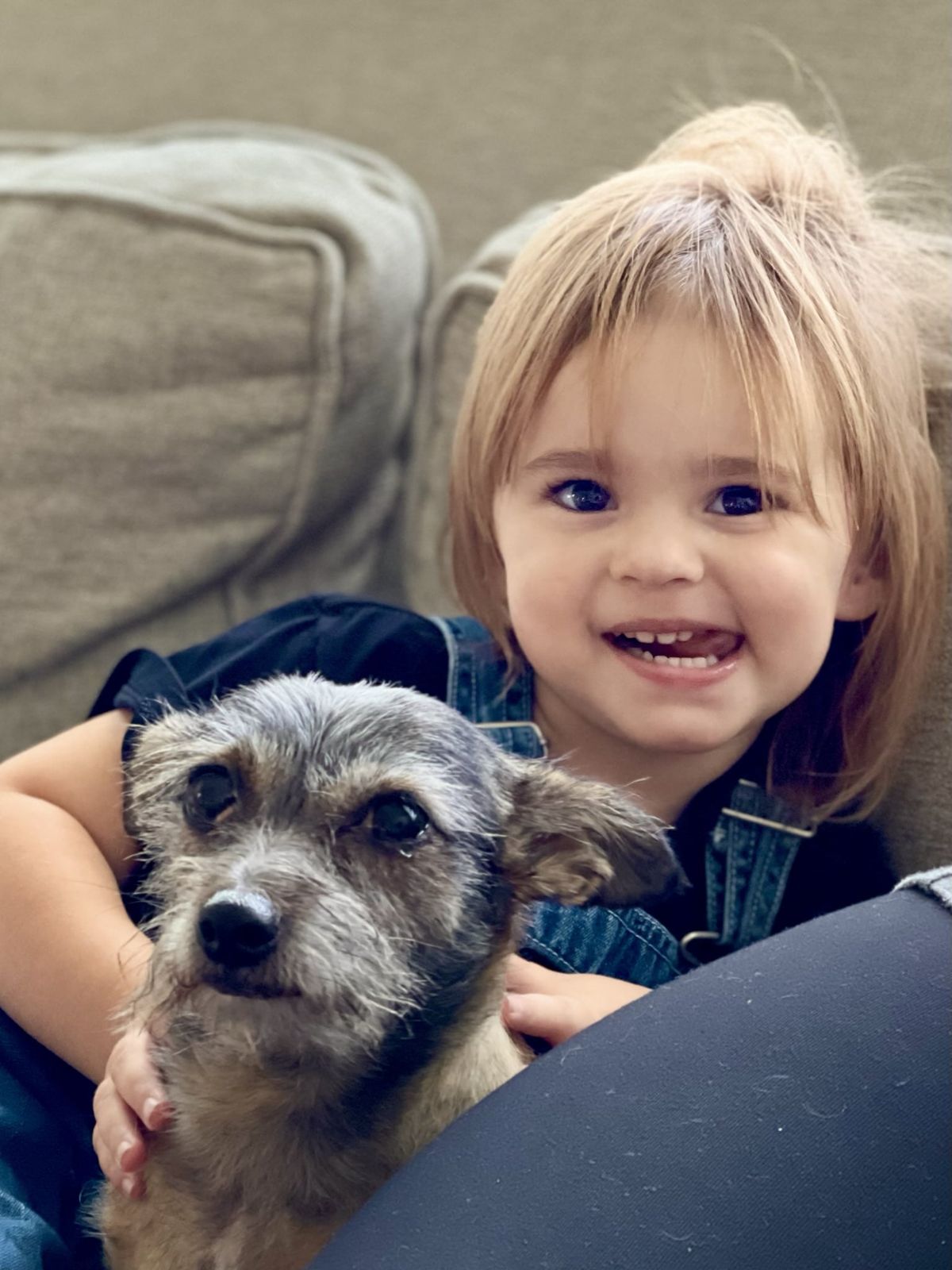 Early Warning Signs Indicating ADHD In Toddlers