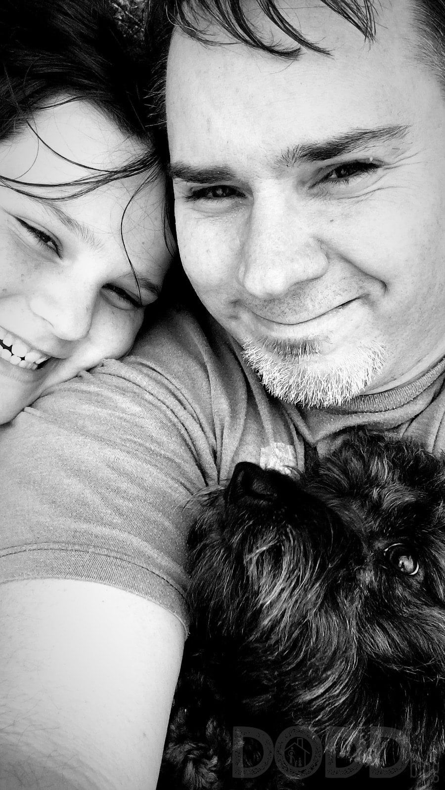 How to Find the Best Pet Supplements