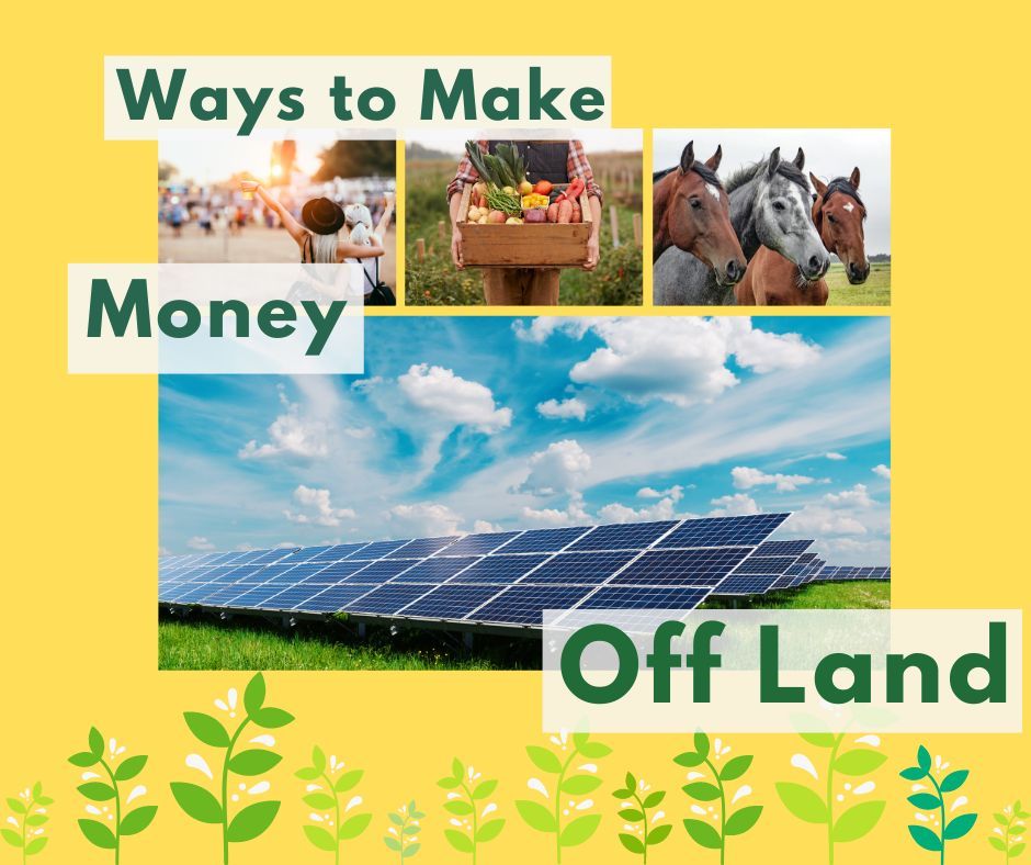 10 Realistic Ways to Make Money Off Land - Updated