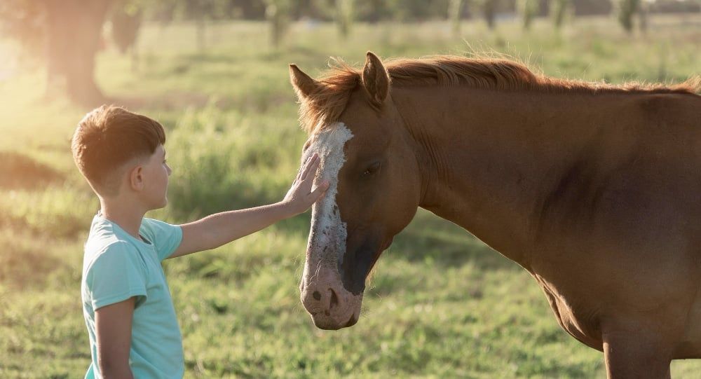 Family Fun at Horse Farms: Building Stronger Bonds