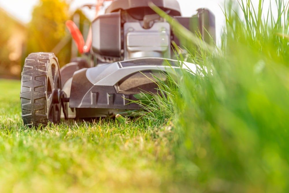 4 Lawn Care Tips That You Don't Want to Miss Out