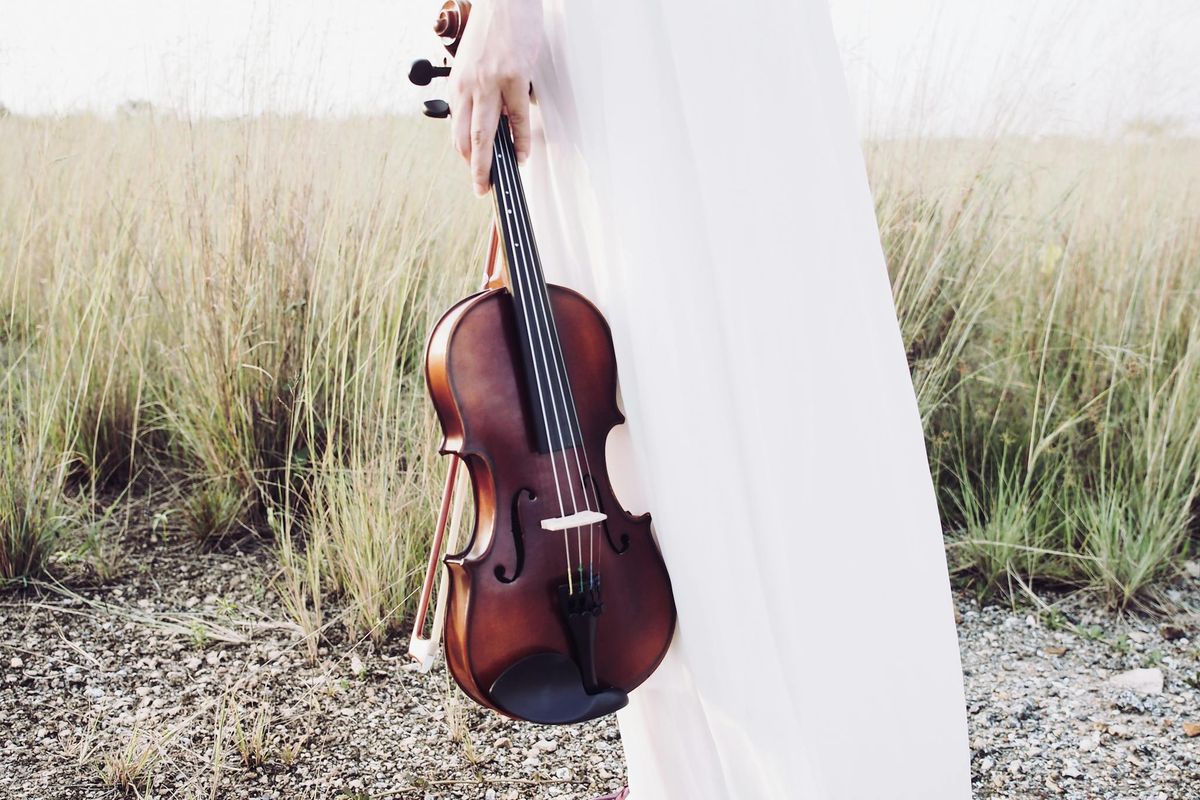 How to Choose the Best Violin Online Store for Your Needs