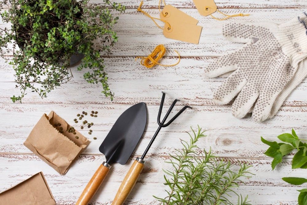 How to Upgrade Your Garden for Summer 2023