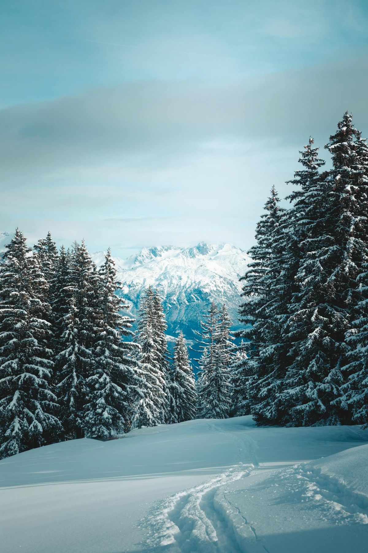 Winter in France: Best Activities for Cold Weather