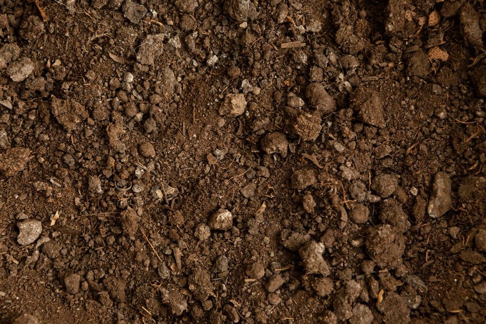 6 Tips for Selecting the Best Excavation and Earthmoving Contractor