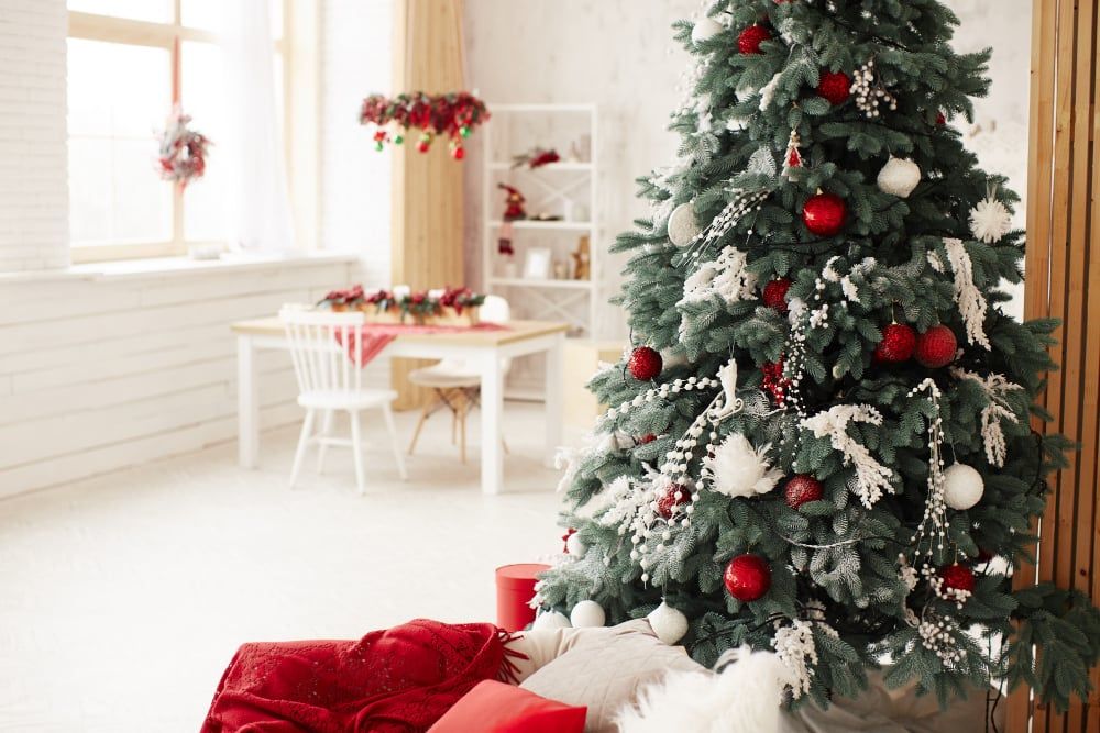 A Cleaner Home Throughout The Winter