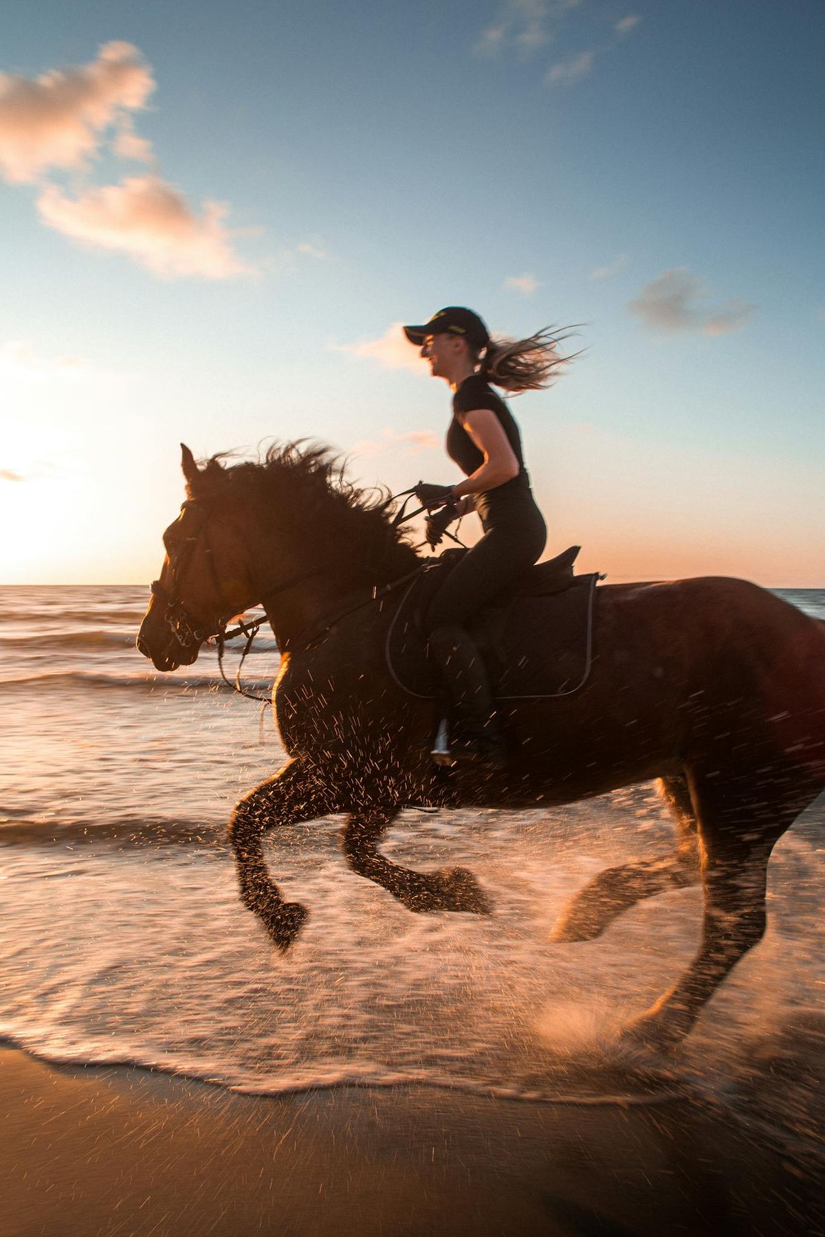 Saddleseat Jodhpurs vs. Regular Riding Pants: What’s the Difference?