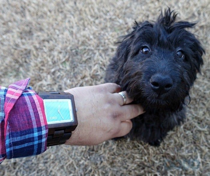 Choosing The Finest Wood Watch for the Everyday Dad