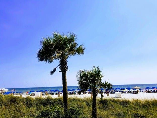 Hidden Corners of the Emerald Coast: Discovering Florida’s Quiet Beach Escapes