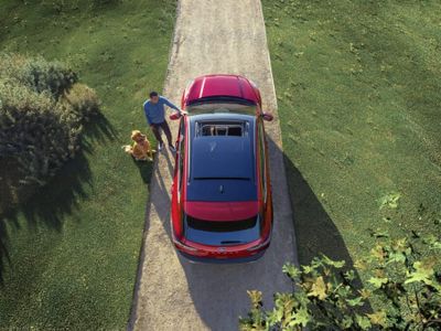 Creative Ways to Reduce Your Car's Environmental Impact