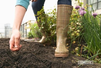 Woman planting seeds