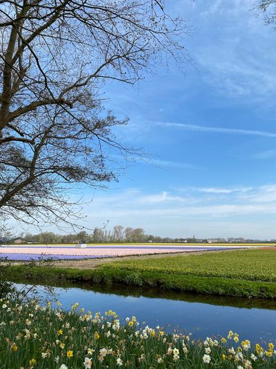 Best Things to Do in the Netherlands