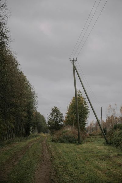 A tranquil dirt road surrounded by a dense forest under a cloudy sky, featuring utility poles.
