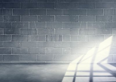 A Beginner’s Guide to Hiring Professional Damp Surveyors