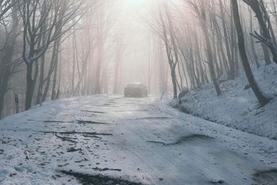 Photo the car drives through the foggy forest