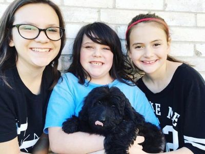 Our Dogs Purpose in Life is Too Love and do Life With Us.