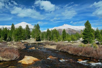 Idaho Panhandle National Forests
