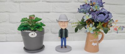 Custom Dad Bobbleheads