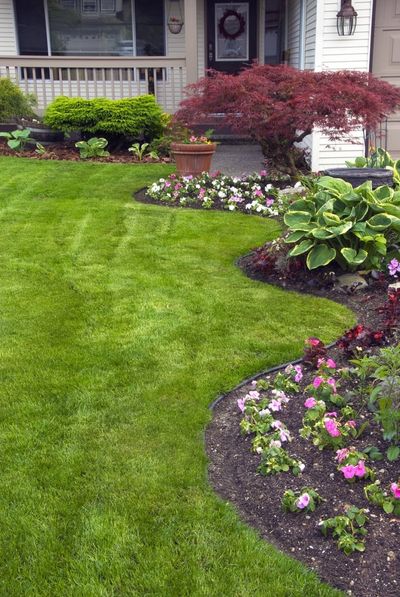 Make Your Lawn More Appealing