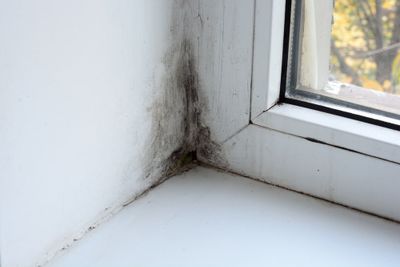 Mold on the window in the house