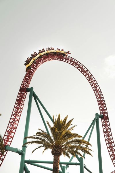Experience the adrenaline rush of a roller coaster ride soaring above palm trees under a clear sky.