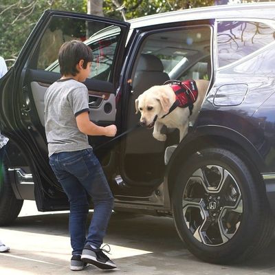 Get A Family Car like the Honda Pilot