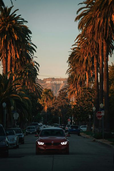 Iconic Hollywood Sign seen through palm-lined Los Angeles street.