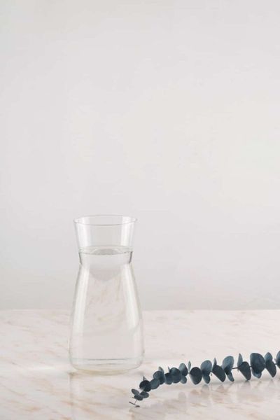 Modern water decanter with eucalyptus branches in minimalism style