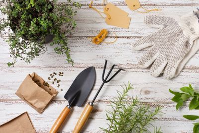 How to upgrade your garden for summer